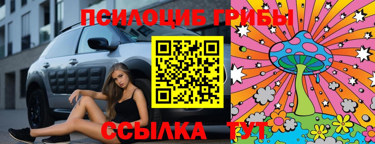 Ачхой-Мартан  Псилоцибиновые грибы ЛСД  Вход с VPN  Галлюциногенные грибы MAGIC MUSHROOMS 
